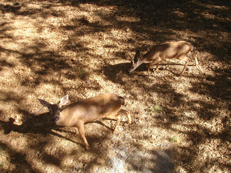 DSC06051