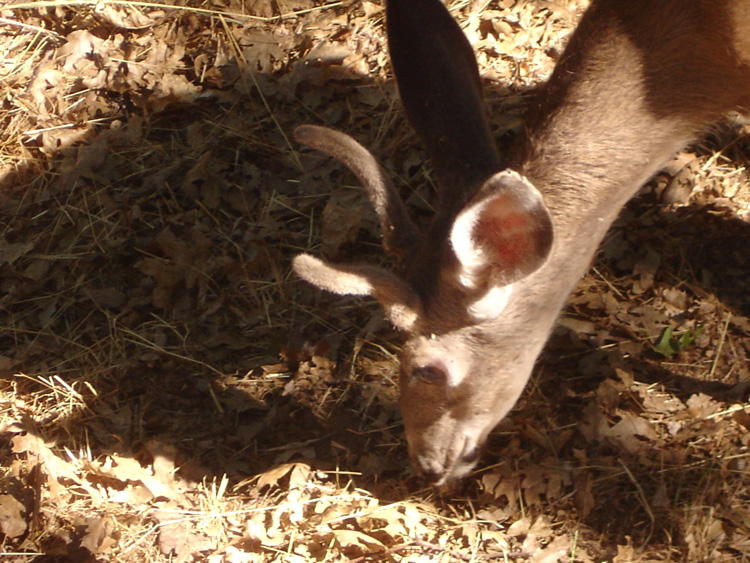 DSC06052