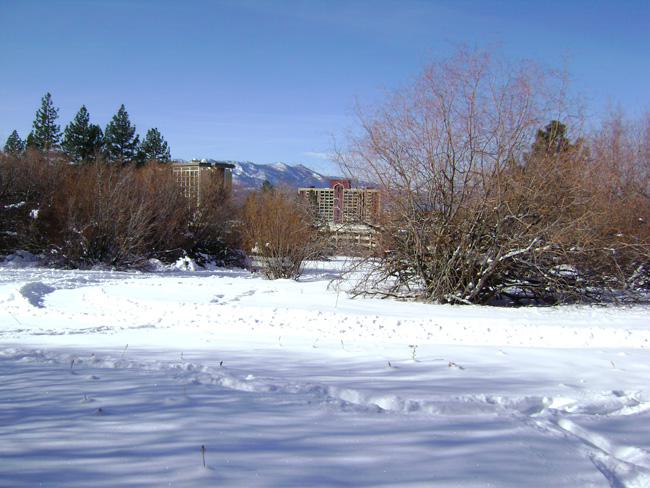 DSC00647
